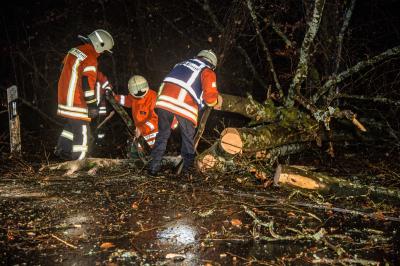 Ebersbach: Sturm sorgt fuer mehrere Einsaetze und gesperrte Strassen